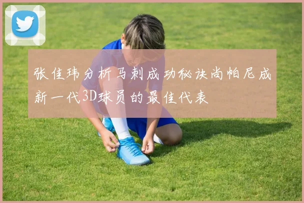 张佳玮分析马刺成功秘诀尚帕尼成新一代3D球员的最佳代表