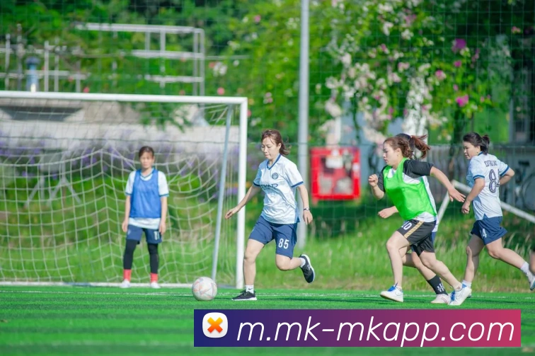 MK体育服务体系