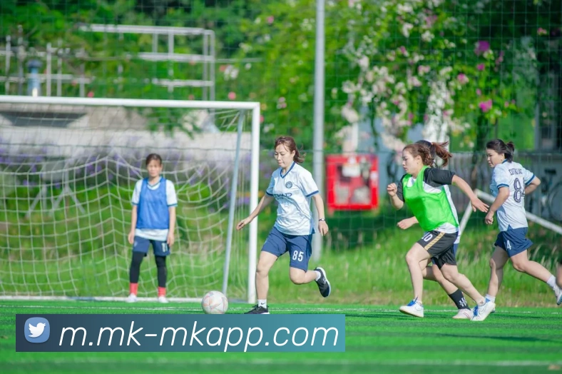 多媒体互动体验